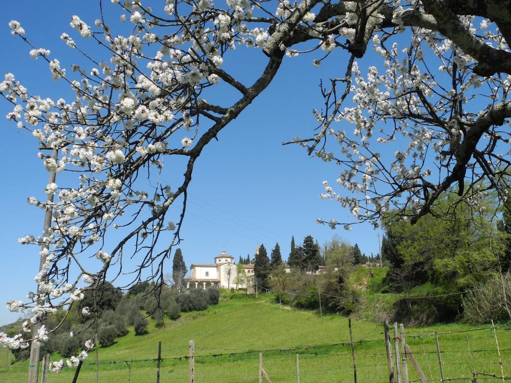 Hotel Le Renaie San Gimignano Exterior photo